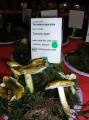 DSCN3801.jpg